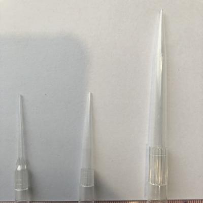 ĐẦU TIP LTS